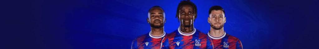 dell sudoku puzzle books
